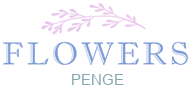 flowerdeliverypenge.co.uk